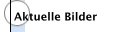 Aktuelle Bilder